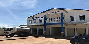 Xử lý nước trang trại bò sữa VINAMILK