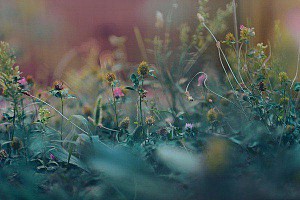 Xin cấp gia hạn, điều chỉnh giấy phép xả nước thải vào nguồn nước