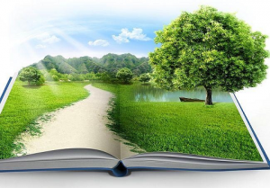 Báo cáo đánh giá tác động môi trường